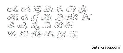 Review of the Weddingscript Font