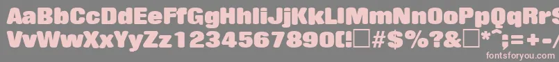 RollingstoneRegular Font – Pink Fonts on Gray Background