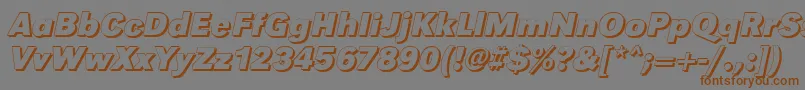GroteskshBolditalic Font – Brown Fonts on Gray Background