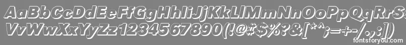 GroteskshBolditalic Font – White Fonts on Gray Background