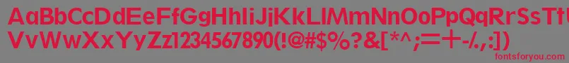 ThinxsskBold Font – Red Fonts on Gray Background