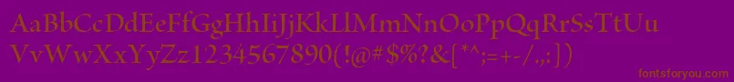 BriosoproSemibolddisp Font – Brown Fonts on Purple Background