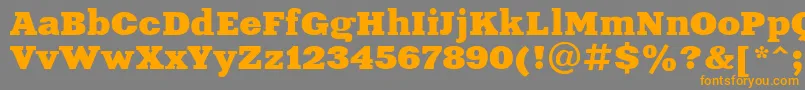 Xeniaextended Cyrillic Font – Orange Fonts on Gray Background