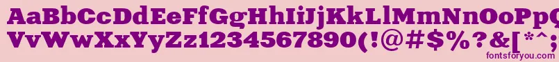 Xeniaextended Cyrillic Font – Purple Fonts on Pink Background