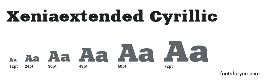 Xeniaextended Cyrillic Font Sizes