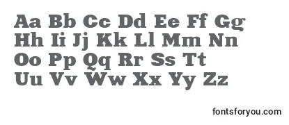 Обзор шрифта Xeniaextended Cyrillic