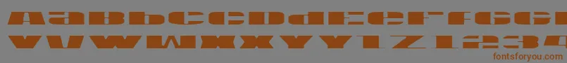 Weitere Informationen zur Usav2l-Schriftart Usav2l-Schriftart – Braune Schriften auf grauem Hintergrund