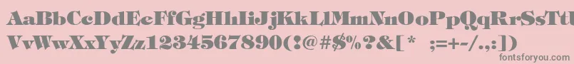 FatimaLiteBold Font – Gray Fonts on Pink Background