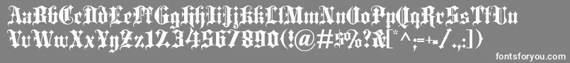 BlackletterExtrabold Font – White Fonts on Gray Background