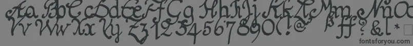 More about Schnitger1680Regular Font Schnitger1680Regular Font – Black Fonts on Gray Background