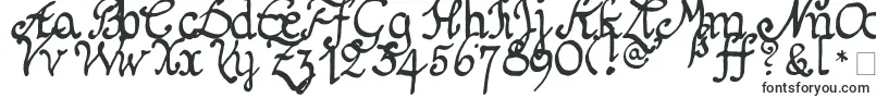 Schnitger1680Regular Font – Handwriting Fonts