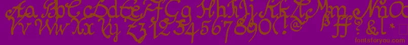 More about Schnitger1680Regular Font Schnitger1680Regular Font – Brown Fonts on Purple Background