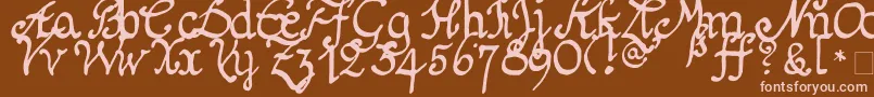 Weitere Informationen zur Schnitger1680Regular-Schriftart Schnitger1680Regular-Schriftart – Rosa Schriften auf braunem Hintergrund