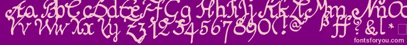 En savoir plus sur la police Schnitger1680Regular Police Schnitger1680Regular – polices roses sur fond violet