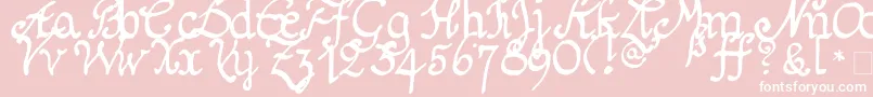 Schnitger1680Regularフォントについての詳細 フォントSchnitger1680Regular – ピンクの背景に白い文字