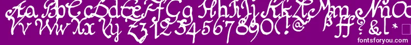 Lisätietoja Schnitger1680Regular-fontista Schnitger1680Regular-fontti – valkoiset fontit violetilla taustalla