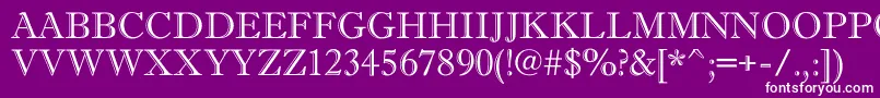 AAntiquetitulgr Font – White Fonts on Purple Background
