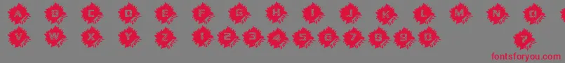 DeadCircuitregular Font – Red Fonts on Gray Background