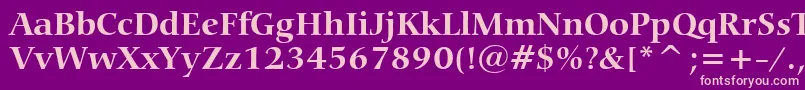 CarminaBoldBt Font – Pink Fonts on Purple Background