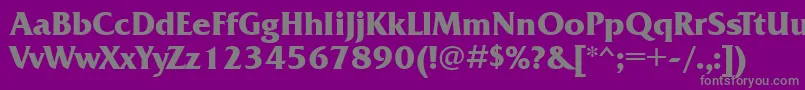 FrizquadratagttBold Font – Gray Fonts on Purple Background