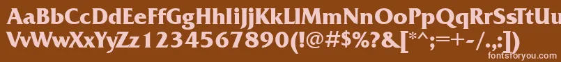 FrizquadratagttBold Font – Pink Fonts on Brown Background