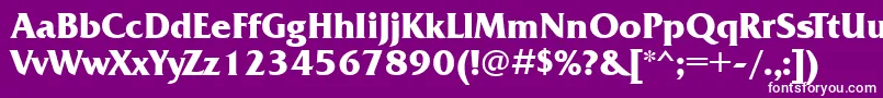 フォントFrizquadratagttBold – 紫の背景に白い文字