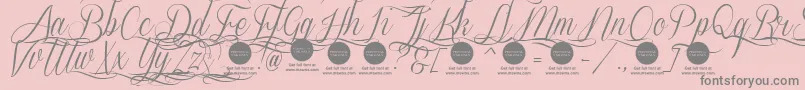 SverigescriptdecoratedDemo Font – Gray Fonts on Pink Background