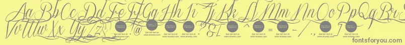 SverigescriptdecoratedDemo-Schriftart – Graue Schriften auf gelbem Hintergrund