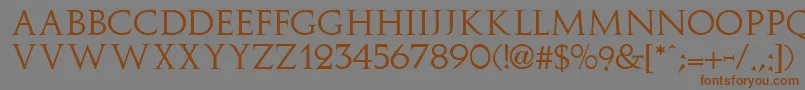 フォントImplicitSsi – 茶色の文字が灰色の背景にあります。