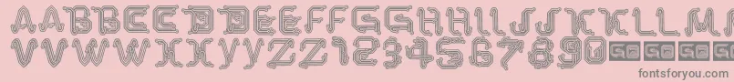 ParkTechCg Font – Gray Fonts on Pink Background