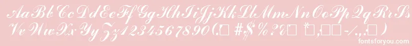 AdherebRegular Font – White Fonts on Pink Background