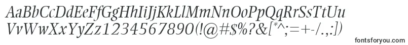 EllingtonMtLightItalic Font – Business Fonts