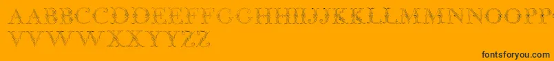 JaggardTwo-Schriftart – Schwarze Schriften auf orangefarbenem Hintergrund