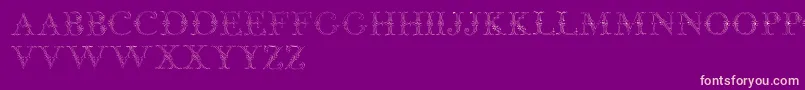 JaggardTwo Font – Pink Fonts on Purple Background