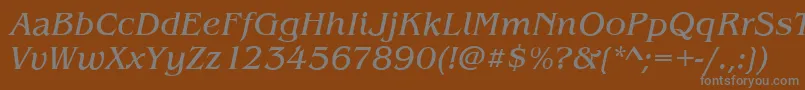 フォントBenjaminItalic – 茶色の背景に灰色の文字