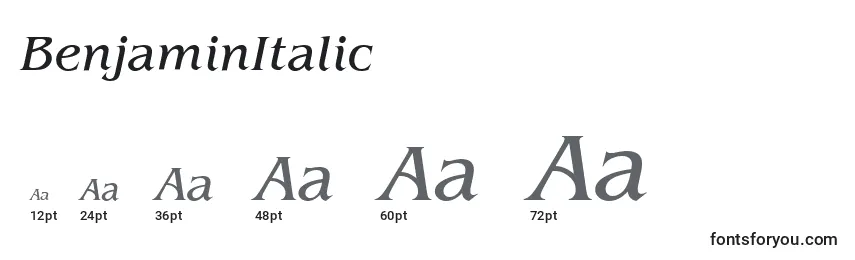 Размеры шрифта BenjaminItalic