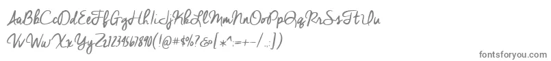 BmdCheddarJack Font – Gray Fonts on White Background
