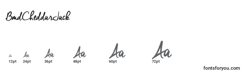 BmdCheddarJack Font Sizes