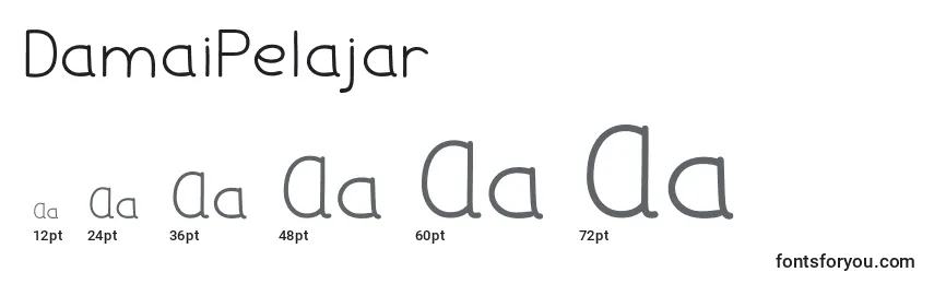 Размеры шрифта DamaiPelajar