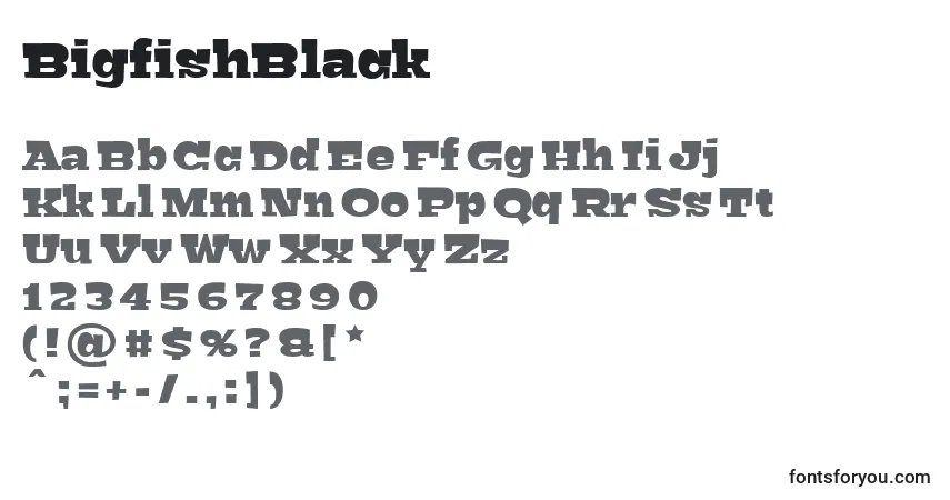 A fonte BigfishBlack – alfabeto, números, caracteres especiais