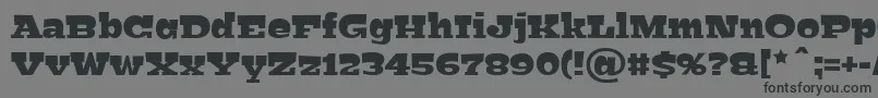BigfishBlack Font – Black Fonts on Gray Background