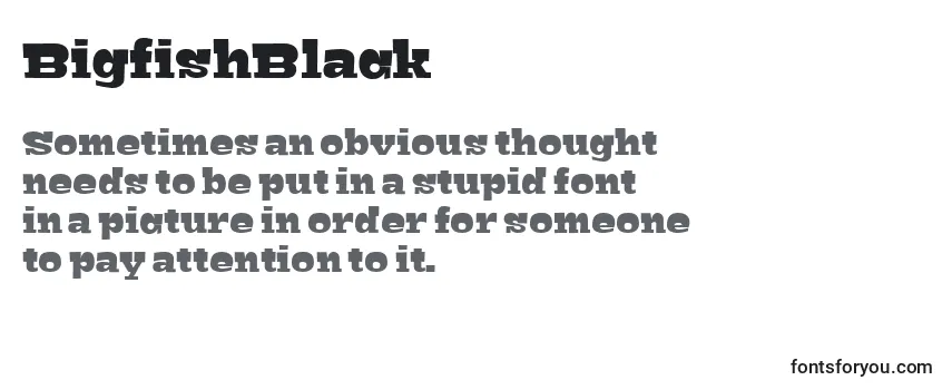 BigfishBlack Font