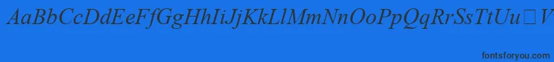 TimesNewRomanSpecialG1Italic Font – Black Fonts on Blue Background
