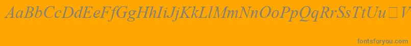 TimesNewRomanSpecialG1Italic Font – Gray Fonts on Orange Background