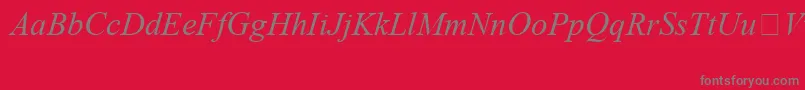 Police TimesNewRomanSpecialG1Italic – polices grises sur fond rouge