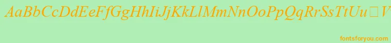 TimesNewRomanSpecialG1Italic Font – Orange Fonts on Green Background