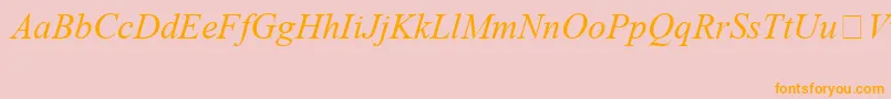 TimesNewRomanSpecialG1Italic Font – Orange Fonts on Pink Background