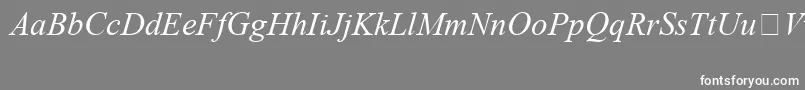 TimesNewRomanSpecialG1Italic Font – White Fonts on Gray Background