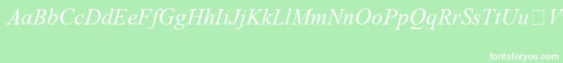 TimesNewRomanSpecialG1Italic Font – White Fonts on Green Background