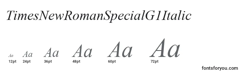 TimesNewRomanSpecialG1Italic Font Sizes